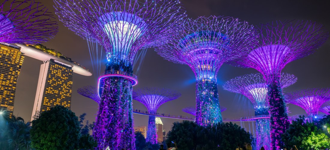 Futuristische, leuchtende Baumskulpturen im Garden by the Bay in Singapur bei Nacht. Die künstlichen Bäume sind mit lila und blauen Lichtern beleuchtet. Im Hintergrund das markante Marina Bay Sands Hotel.