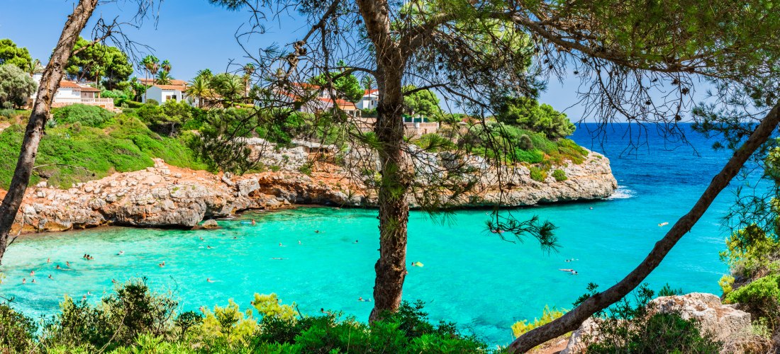 Eine malerische Bucht mit türkisfarbenem Wasser, umgeben von grünen Pinienbäumen. Im Vordergrund rahmen Bäume die Szene ein. Viele Menschen schwimmen und baden im klaren Wasser. Rechts im Hintergrund erhebt sich eine Klippe mit weißen Häusern, Palmen und 