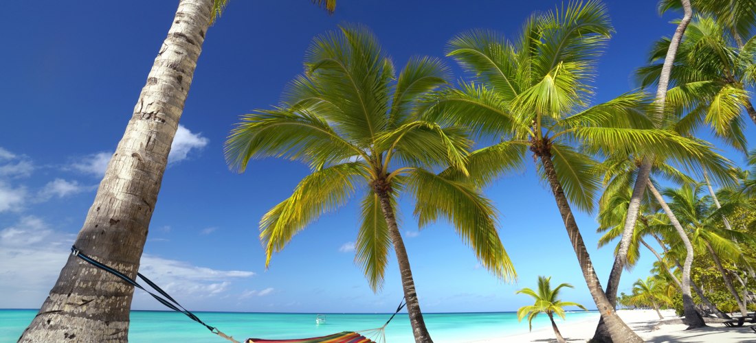 Bunte Hängematte zwischen Palmen an einem tropischen Sandstrand mit türkisfarbenem Meer und strahlend blauem Himmel