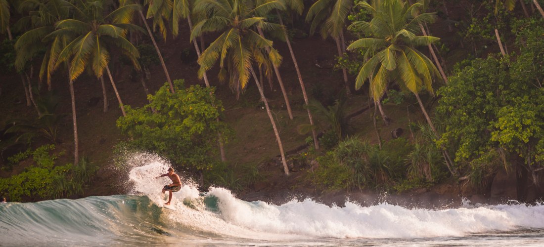Ein Surfer reitet eine Welle nahe am Ufer vor einer Kulisse von dichten Palmen auf Sri Lanka. Die Sonne taucht die Szene in warmes Licht, das Wasser spritzt dynamisch auf.