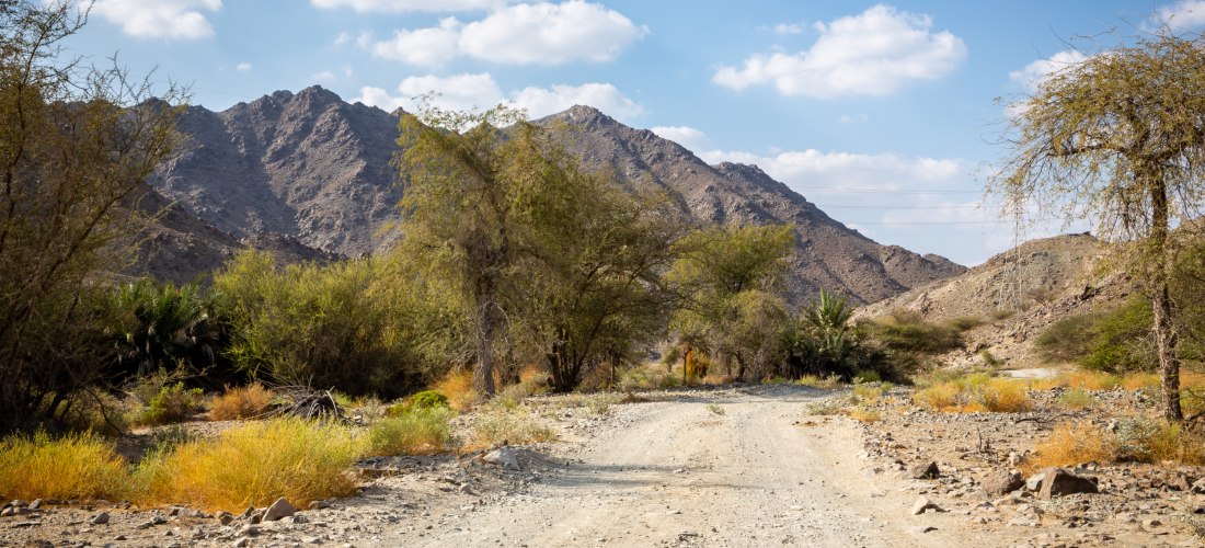 Naturweg durch die Hajar-Berge in Fujairah, Vereinigte Arabische Emirate. Felsige Landschaft, trockene Vegetation und Gebirgspanorama – ideal für Wanderungen und Jeep-Touren.