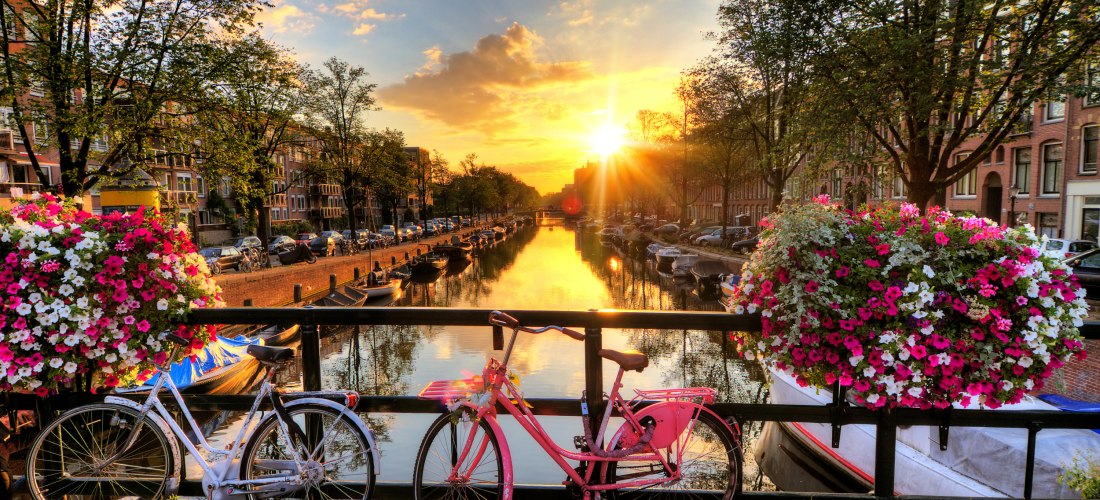 Amsterdam bei Sonnenuntergang: Blick von einer Brücke auf eine ruhige Gracht, links und rechts Baumreihen und Backsteinfassaden. Zwei Fahrräder lehnen am Geländer, daneben üppige Blumenampeln. Goldenes Licht spiegelt sich im Wasser mit Booten.