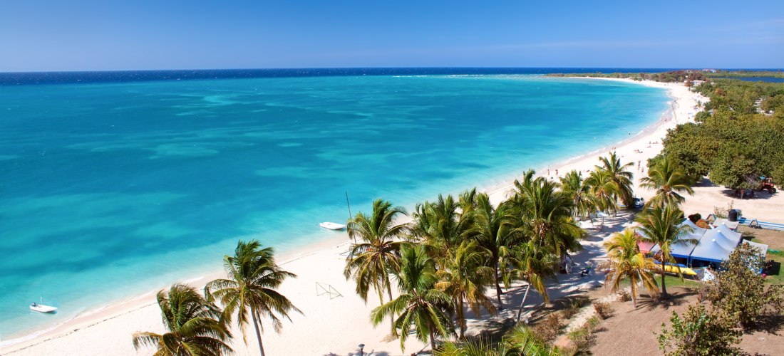 Tropischer Sandstrand mit türkisblauem Meer und Palmen unter klarem Himmel