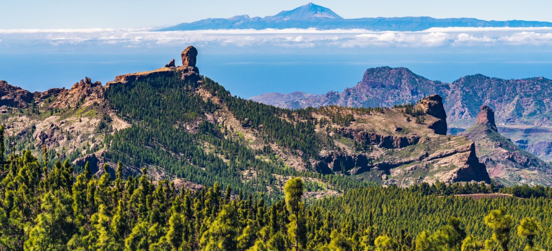 Blick auf den markanten Roque Nublo auf Gran Canaria, umgeben von Pinienwäldern und Berglandschaften, im Hintergrund die Silhouette des Teide auf Teneriffa.