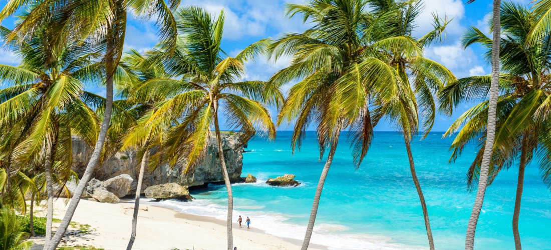 Postkartenidylle am tropischen Sandstrand von Barbados: Hohe Palmen wiegen sich im Wind, dahinter leuchtet das türkisfarbene Meer. Zwei Menschen spazieren barfuß am Wasser entlang. Im Hintergrund ragen helle Felsen aus dem Meer, der Himmel ist strahlend b