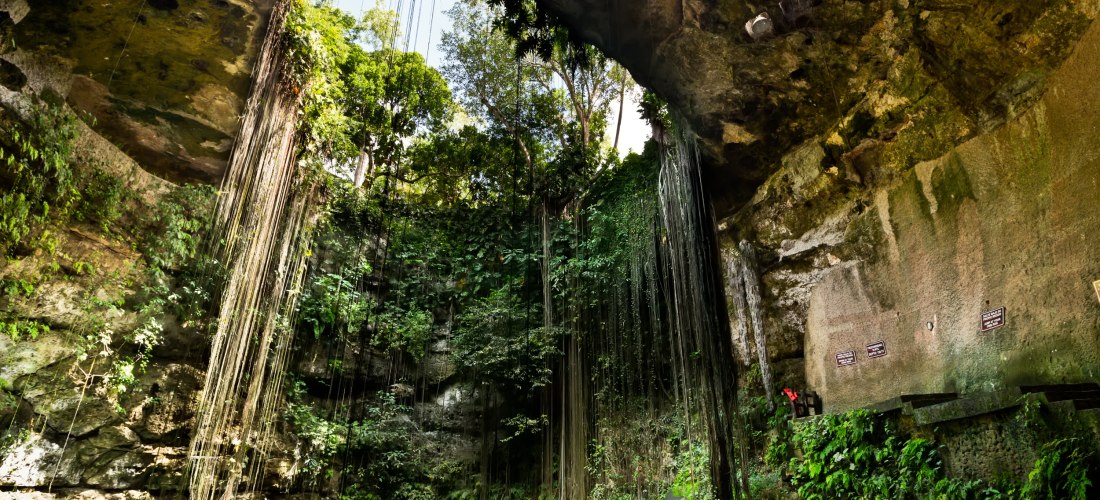 Tropische Cenote in Mexiko mit türkisfarbenem Wasser und steilen, mit Pflanzen bewachsenen Felswänden. Sonnenlicht fällt durch die Öffnung im Felsendach, lange Lianen hängen herab. Menschen schwimmen im Wasser. Die Szene wirkt mystisch und naturverbunden.