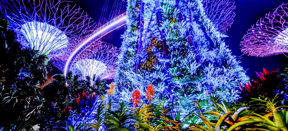 Weihnachtsmarkt im Gardens by the Bay in Singapur. Die berühmten Supertrees sind in grünem Licht dekoriert, im Zentrum steht eine hohe, kunstvoll beleuchtete Konstruktion in Form eines Turms mit bunten Mustern. Im Vordergrund sind Besucher:innen und weihn