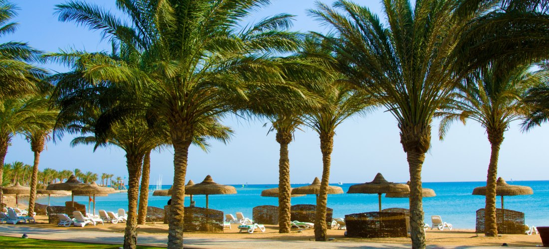Ein tropischer Sandstrand mit Reihen von Palmen, unter denen sich Sonnenliegen und strohgedeckte Sonnenschirme befinden. Der Strand ist gepflegt, mit grünem Rasen im Vordergrund und feinem, hellem Sand dahinter. Das Meer im Hintergrund leuchtet türkisblau