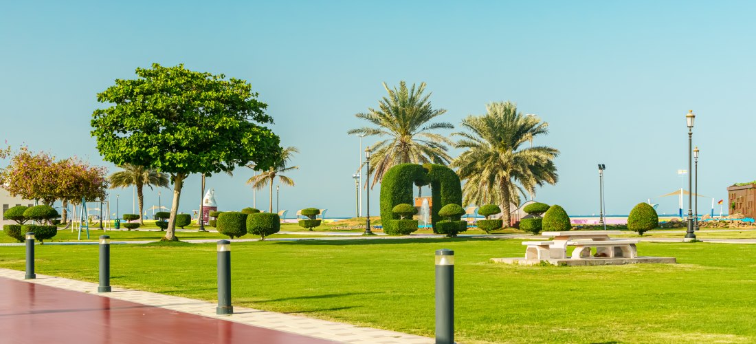 Grünanlage mit Palmen, Rasenflächen und Promenade an der Corniche in Fujairah. Beliebter Ort für Spaziergänge, Freizeitaktivitäten und Familienausflüge am Meer.