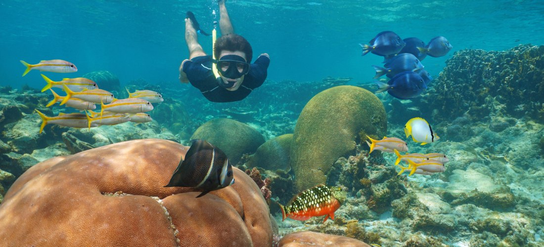Schnorchler in einem tropischen Korallenriff, umgeben von bunten Fischen und großen Korallenblöcken unter klarem, blauem Wasser