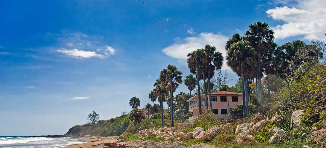 Ruhiger Karibikstrand mit hohen Palmen, feinem Sand und strahlend blauem Himmel – perfekter Ort für einen entspannten Strandurlaub.
