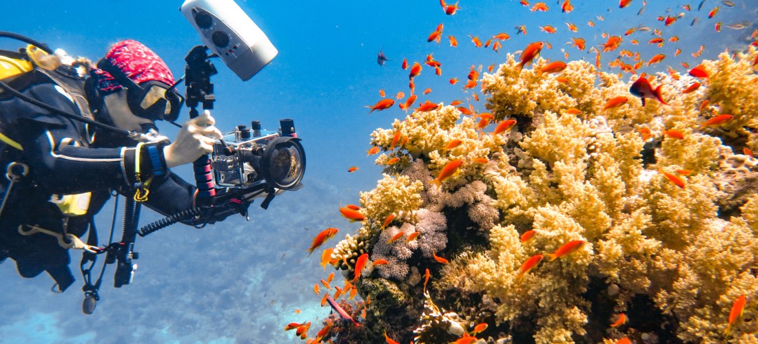 Eine Taucherin mit Unterwasserkamera fotografiert ein lebendiges Korallenriff voller kleiner, orangefarbener Fische im klaren, blauen Wasser.