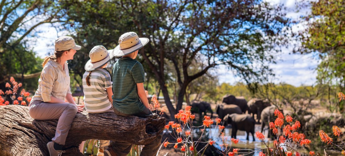 Eine Frau und zwei Kinder sitzen auf einem umgestürzten Baumstamm in der Savanne und beobachten eine Gruppe von Elefanten, die an einem Wasserloch trinken. Um sie herum blühen orangefarbene Wildblumen, die Sonne scheint durch die Bäume.