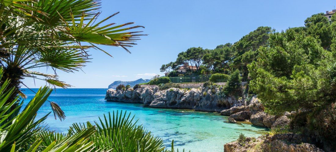 Romantische Badebucht bei Cala Ratjada mit türkisfarbenem Wasser, Felsküste und Palmen – ideales Urlaubsziel für Paare auf Mallorca