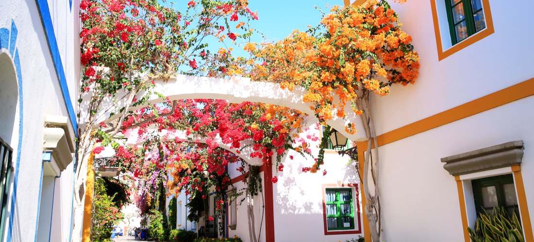 Schmale Gasse in Puerto de Mogán auf Gran Canaria, gesäumt von weißen Häusern mit bunten Fensterrahmen und leuchtenden Bougainvillea-Blüten.