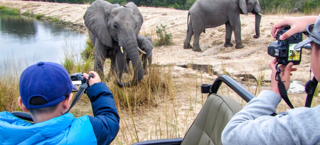 Zwei Personen in einem offenen Safari-Fahrzeug fotografieren Elefanten, die am Rand eines Wasserlochs stehen. Im Hintergrund sind Hügel, Bäume und eine Lodge mit Strohdach zu sehen.