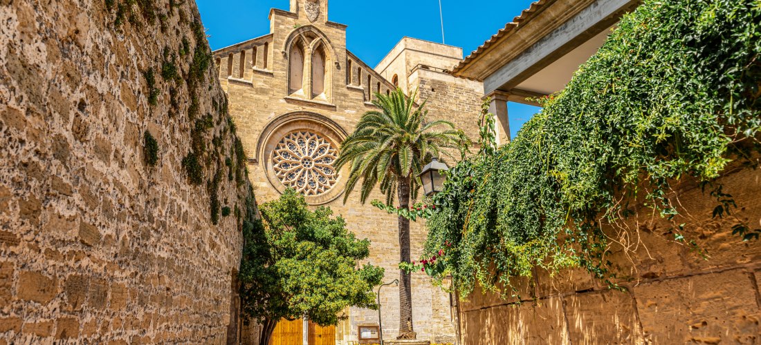 Historische Kirche mit Rosettenfenster und Kreuz in Alcúdia auf Mallorca, umgeben von Steinmauern, Palmen und blauem Himmel