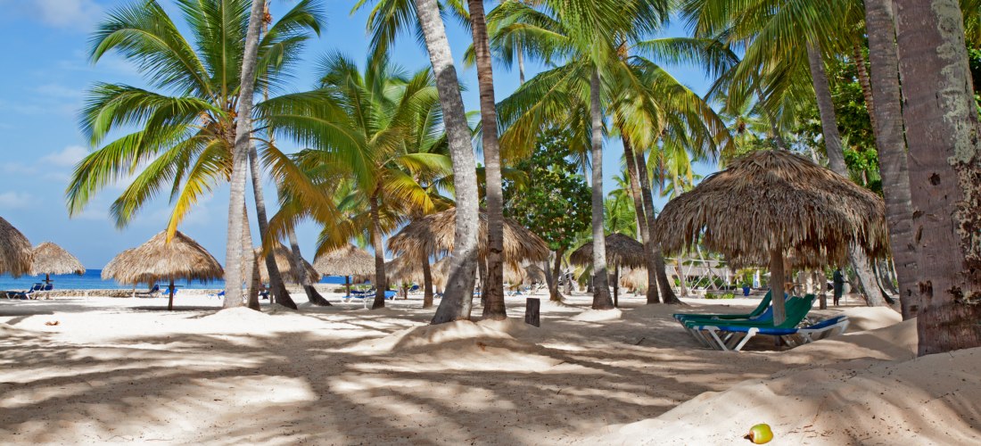 Tropischer Strand in der Dominikanischen Republik mit weißen Sand, Palmen und Sonnenliegen unter Strohdächern