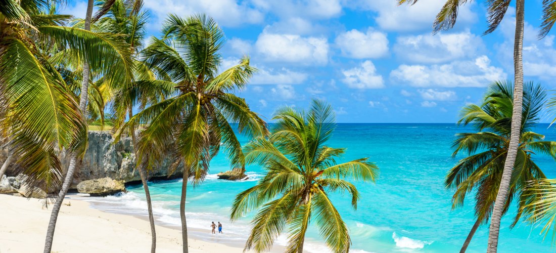 Bottom Bay auf Barbados mit Palmen, Felsen, weißem Sandstrand und türkisblauem Meer.