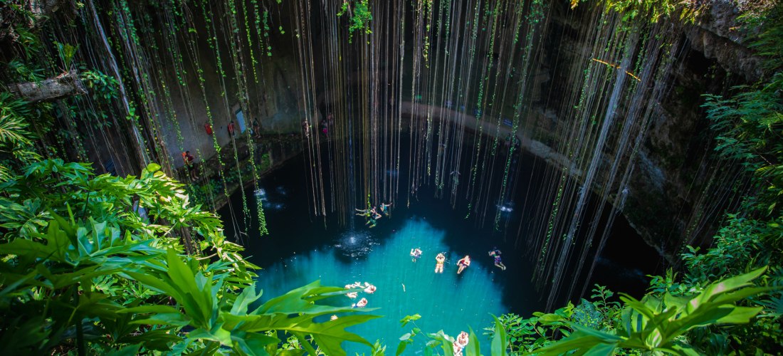 Ik-Kil Cenote, Mexiko. Wunderschöne Cenote auf der Halbinsel Yucatan mit kristallklarem Wasser und hängenden Wurzeln