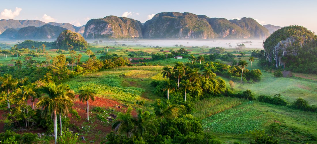 Vinales-Tal in Kuba – tropische Landschaft mit Kalksteinfelsen und Palmen Atemberaubender Blick auf das grüne Vinales-Tal in Kuba mit üppiger Vegetation, Palmen, landwirtschaftlichen Feldern und den markanten Mogotes-Kalksteinfelsen im Hintergrund bei Morgendunst.