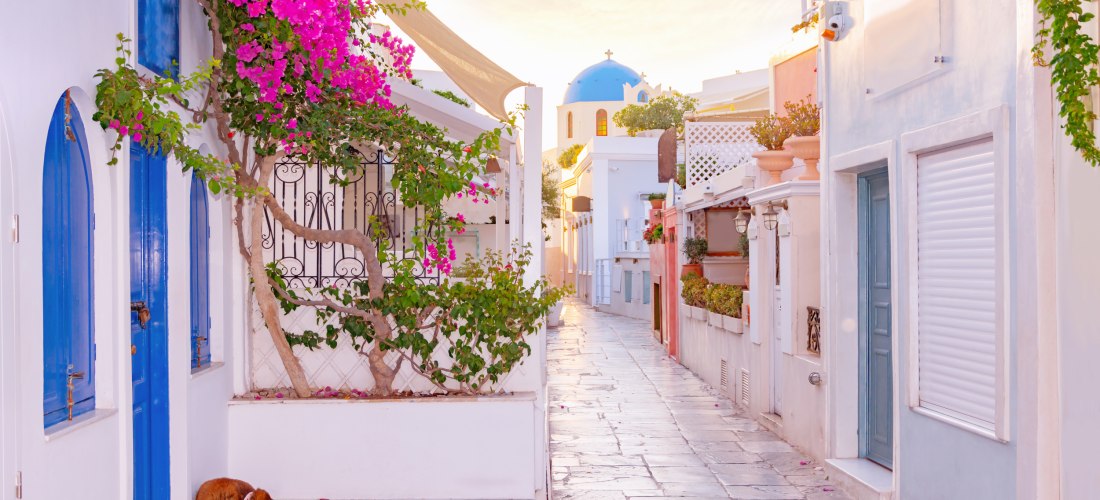 Romantische Gasse mit weiß getünchten Häusern und blauen Türen. Über einer Eingangstür ranken sich leuchtend pinke Bougainvillea-Blüten. Ein Hund liegt schlafend vor der Tür. Am Ende der Gasse ragt eine Kirche mit blauer Kuppel in den Himmel.