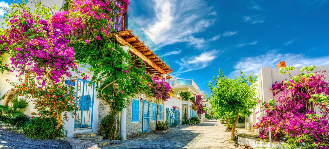 Eine idyllische Gasse mit weiß gestrichenen Häusern, blauen Fensterläden und üppig blühenden Bougainvillea-Pflanzen. Die Szene wirkt sonnig und mediterran, unter einem strahlend blauen Himmel.