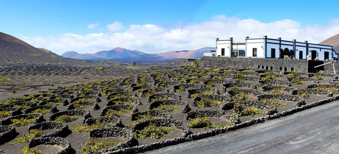 Weingut in La Geria auf Lanzarote mit traditionellem Gebäude und kreisförmigen Weinreben im schwarzen Lavaboden.