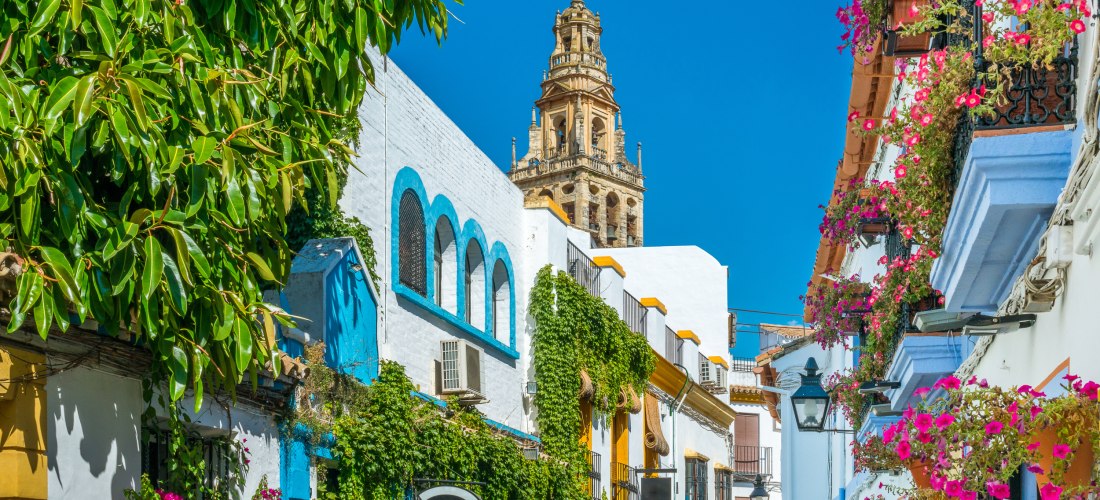 Schmale, sonnige Altstadtgasse in Córdoba mit weiß getünchten Häusern, üppig blühenden Blumen in bunten Töpfen und grünen Ranken. Im Hintergrund ragt der barocke Glockenturm der Mezquita-Kathedrale in den strahlend blauen Himmel.