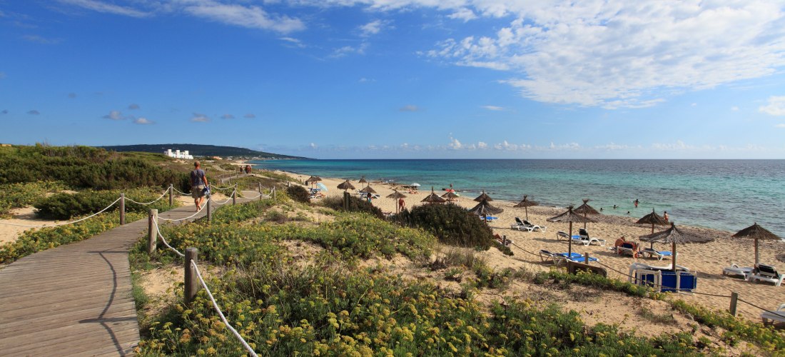 Holzplanken-Wanderweg durch die Dünen zur Playa de Migjorn auf Formentera. Rechts liegen der lange Sandstrand mit Sonnenschirmen und Liegen sowie das türkisfarbene Meer.