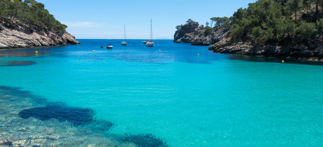 Cala Murta, eine kleine, naturbelassene Badebucht in der Region Formentor, Mallorca. Türkisblaues Wasser trifft auf eine felsige Küste mit dichten Pinienwäldern. Mehrere Segelboote und kleine Motorboote ankern in der Bucht. Der Himmel ist strahlend blau, 