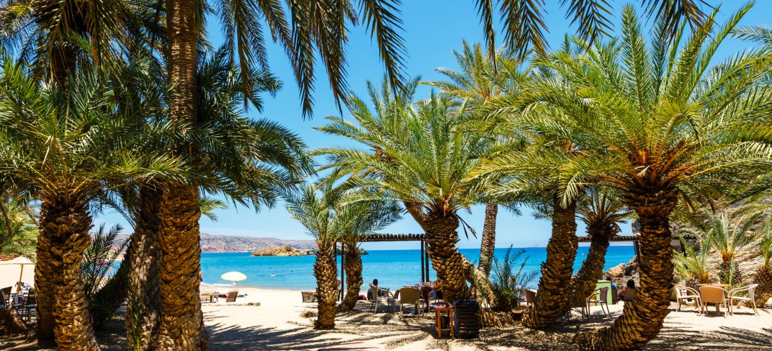 Strand mit Palmen und Blick auf das blaue Meer auf Kreta