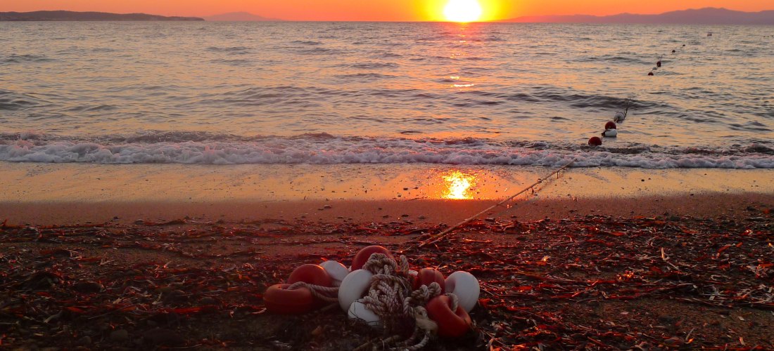 Sonnenuntergang am Strand mit ruhiger Brandung. Im Vordergrund liegen Bojen und ein Seil im angespülten Seegras, während die Sonne orangefarben im Meer versinkt und den Himmel in warmes Licht taucht.