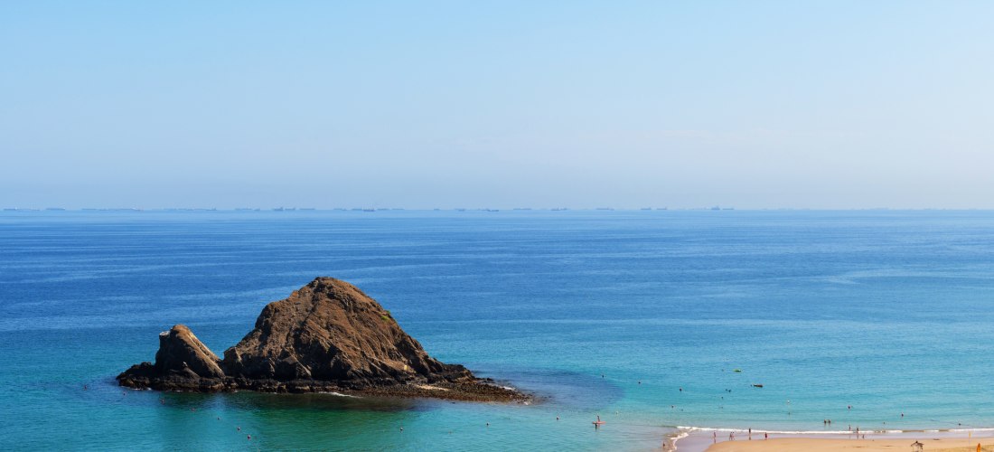 Luftaufnahme von Snoopy Island und Strand bei Fujairah, VAE. Goldener Sandstrand mit Palmen, türkisblaues Meer und ruhige Badebucht – perfektes Schnorchelparadies.