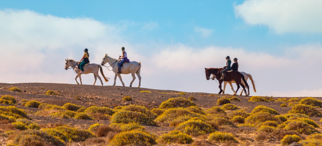 Vier Menschen reiten auf Pferden durch eine trockene, hügelige Landschaft mit kleinen Sträuchern unter blauem Himmel mit hellen Wolken.