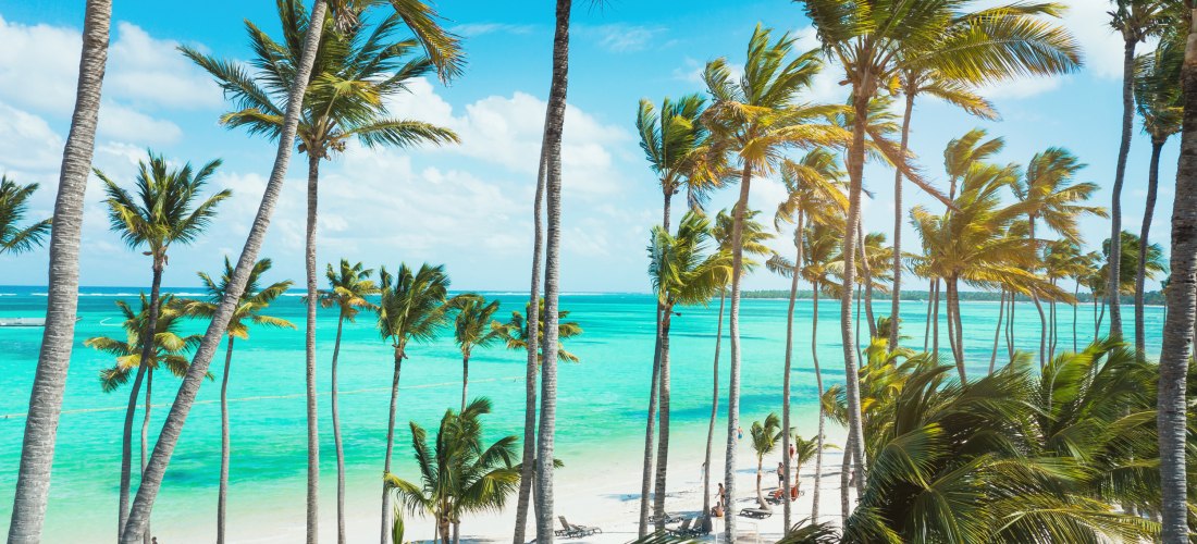 Hohe Palmen am weißen Sandstrand mit Blick auf türkisblaues Meer unter sonnigem Himmel, Menschen entspannen auf Sonnenliegen