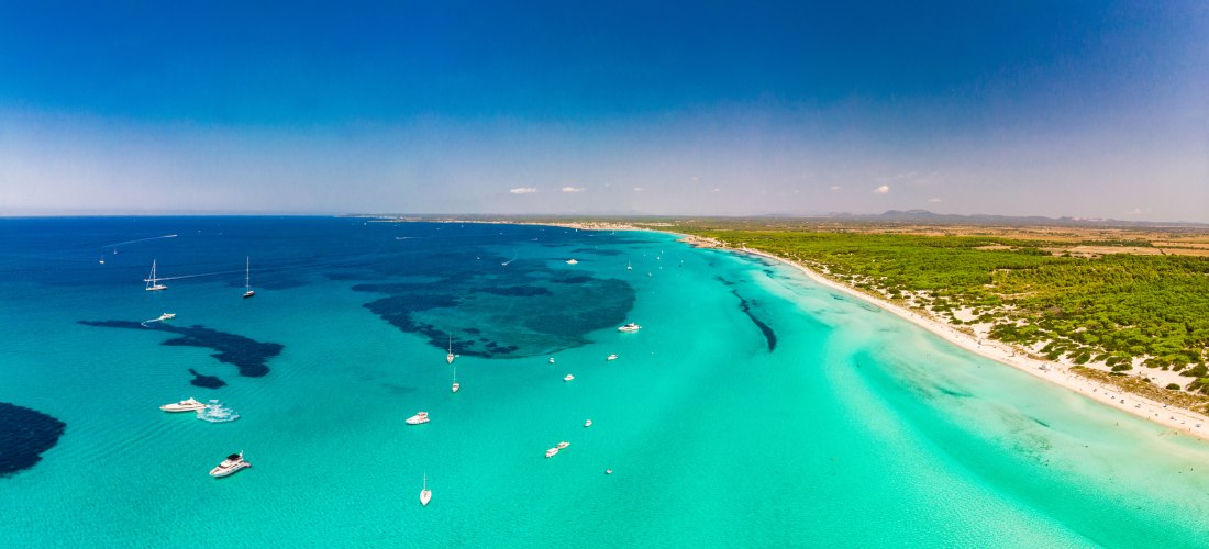 Luftaufnahme eines langen, weißen Sandstrandes mit türkisfarbenem Wasser, das sanft in den Strand übergeht. Im Meer sind mehrere Yachten und Boote verteilt. Rechts erstrecken sich weite, grüne Pinienwälder und landwirtschaftlich genutzte Felder. Am Horizo