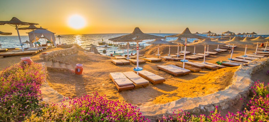 Ein goldener Sonnenuntergang über dem Roten Meer. Im Vordergrund liegen zahlreiche leere Liegen mit Sonnenschirmen auf einem terrassierten Strandabschnitt. Links und rechts blühen violette Blumen. Im Hintergrund sieht man ein hölzernes Badeplateau, das in
