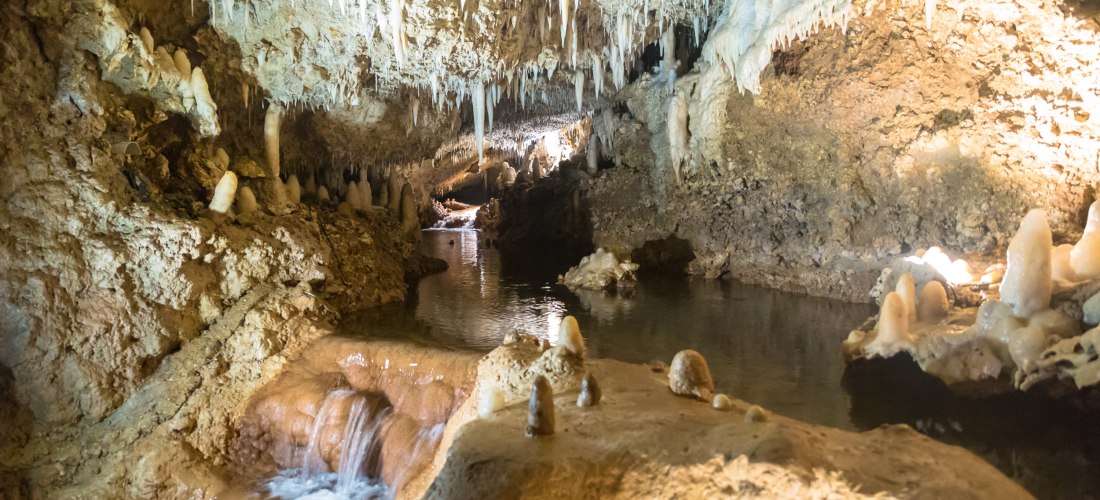 Harrison’s Cave auf Barbados mit Tropfsteinen, Wasserlauf und beleuchteten Felsen.