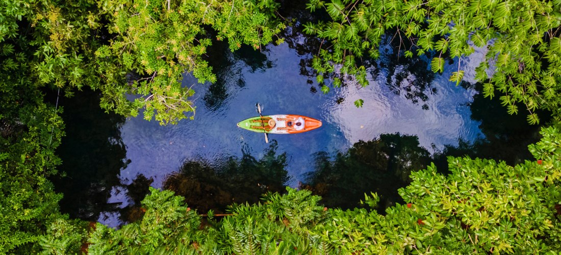 Das Bild zeigt eine eindrucksvolle Vogelperspektive: Zwei Personen sitzen in einem orange-grünen Kajak und paddeln durch einen engen, ruhigen Wasserlauf, der sich durch dichten, sattgrünen Dschungel schlängelt. Die Wasseroberfläche spiegelt die umgebenden