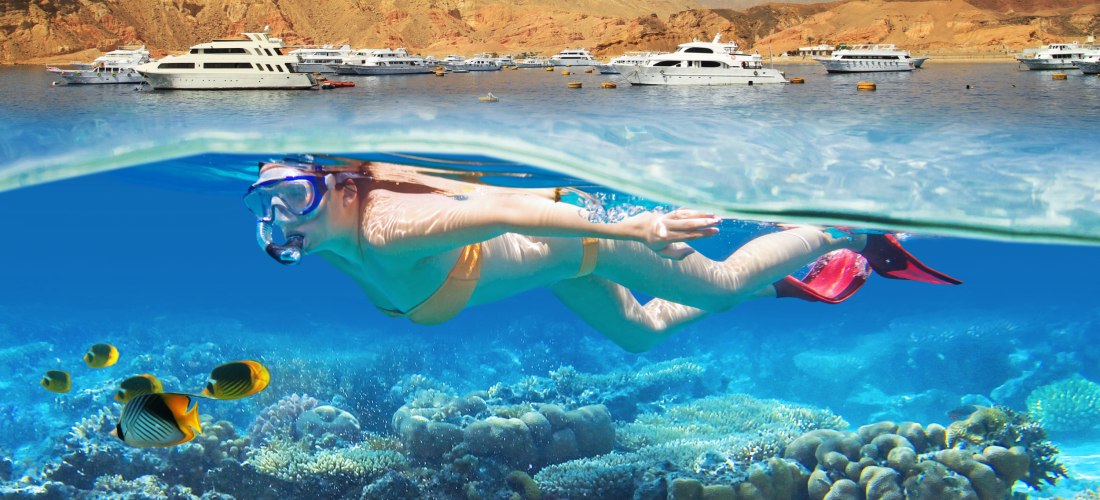 Eine Frau schnorchelt in klarem, blauem Wasser über einem lebendigen Korallenriff. Bunte tropische Fische schwimmen unter ihr, darunter gelb-schwarze Falterfische und ein Doktorfisch. Im Hintergrund, oberhalb der Wasseroberfläche, liegen mehrere weiße Jac