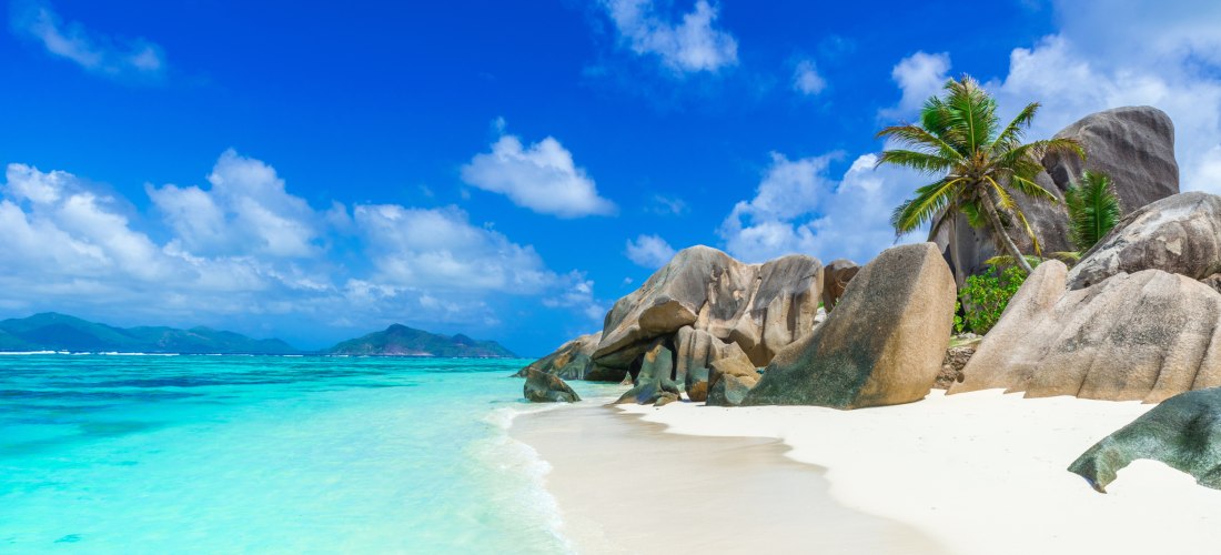 Felsformationen und Palmen am Sandstrand und Meer