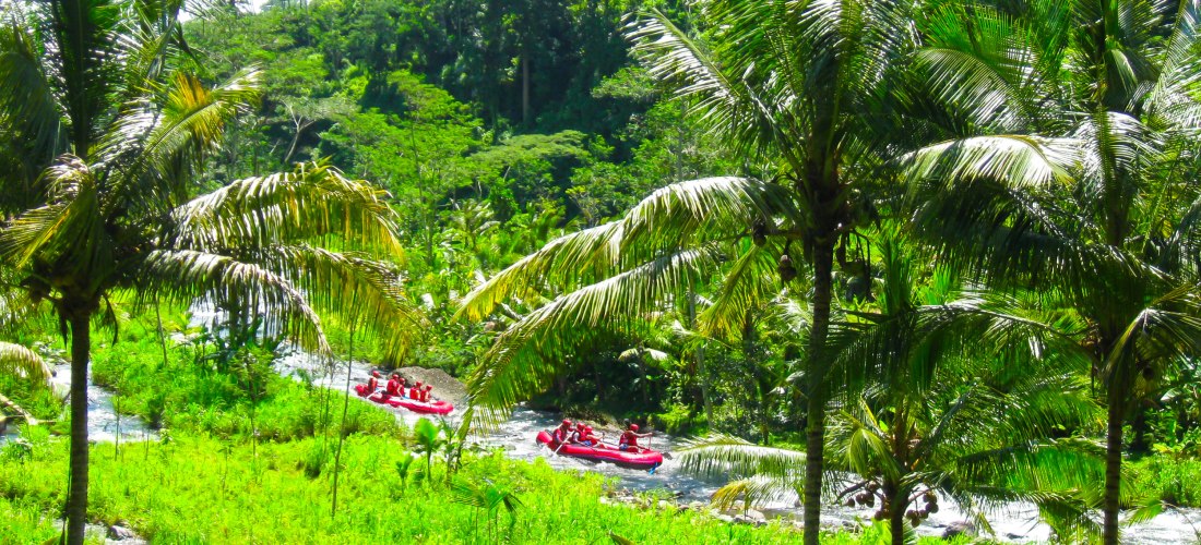 Zwei Gruppen von Menschen in roten Schlauchbooten beim Rafting durch einen schmalen, tropischen Fluss auf Bali. Der Fluss schlängelt sich durch dichtes Grün mit Palmen und üppiger Vegetation. Die Sonne scheint, das Wasser glitzert, und die Szene vermittel