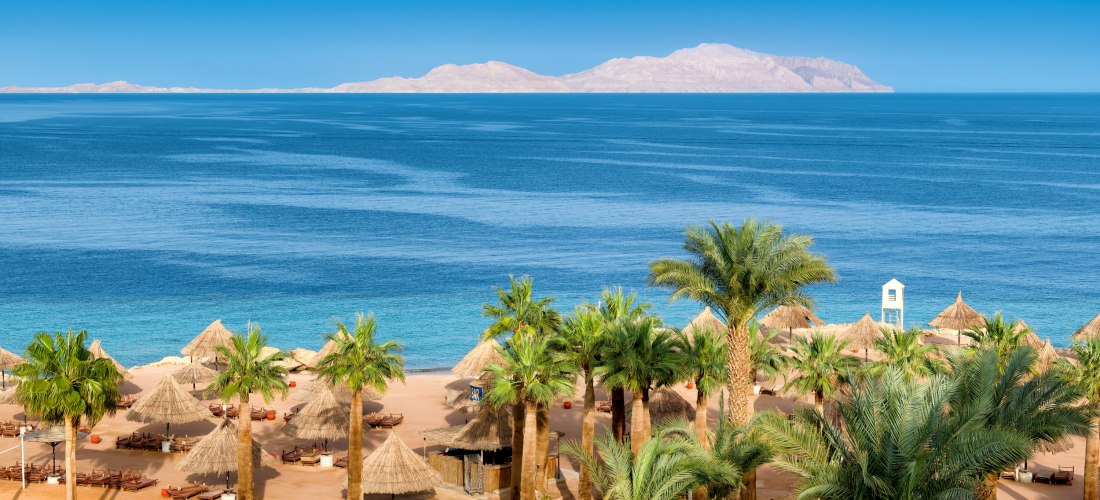 Ein tropischer Sandstrand mit vielen Palmen und Strohdach-Sonnenschirmen, die über gemütliche Strandliegen verteilt sind. Im Hintergrund erstreckt sich das tiefblaue Meer mit Blick auf eine ferne Insel. Das Bild vermittelt Ruhe, Exotik und einen Hauch von
