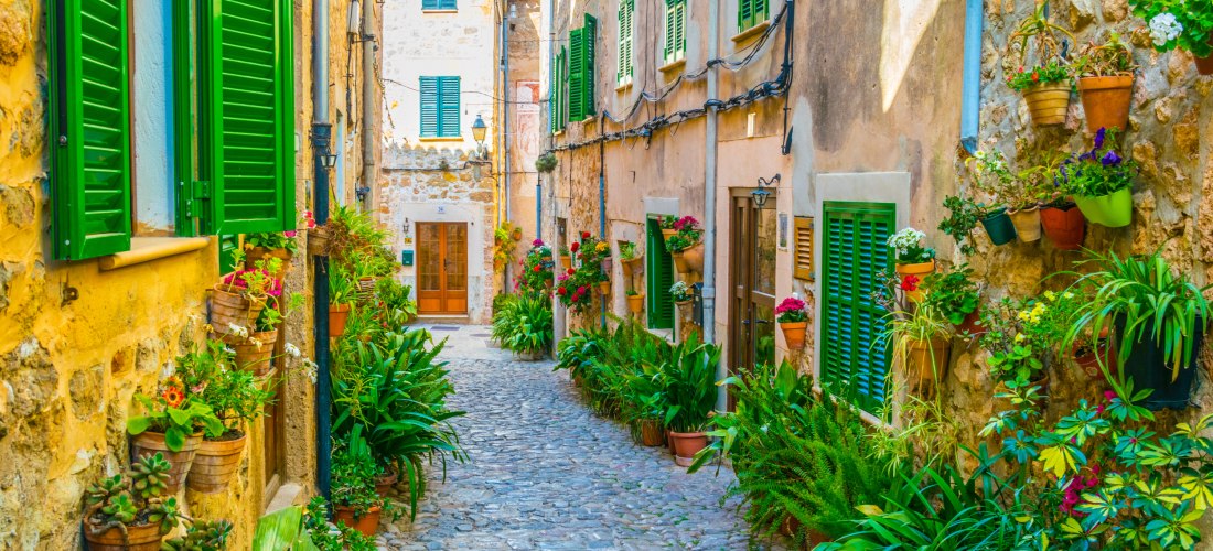 Eine malerische, enge Gasse in einem mediterranen Dorf auf Mallorca. Die Häuser sind aus hellem Stein gebaut und haben grüne Fensterläden. Viele Blumentöpfe und Pflanzen schmücken die Gasse. Die Gasse ist mit Kopfsteinpflaster belegt, was dem Ort eine cha