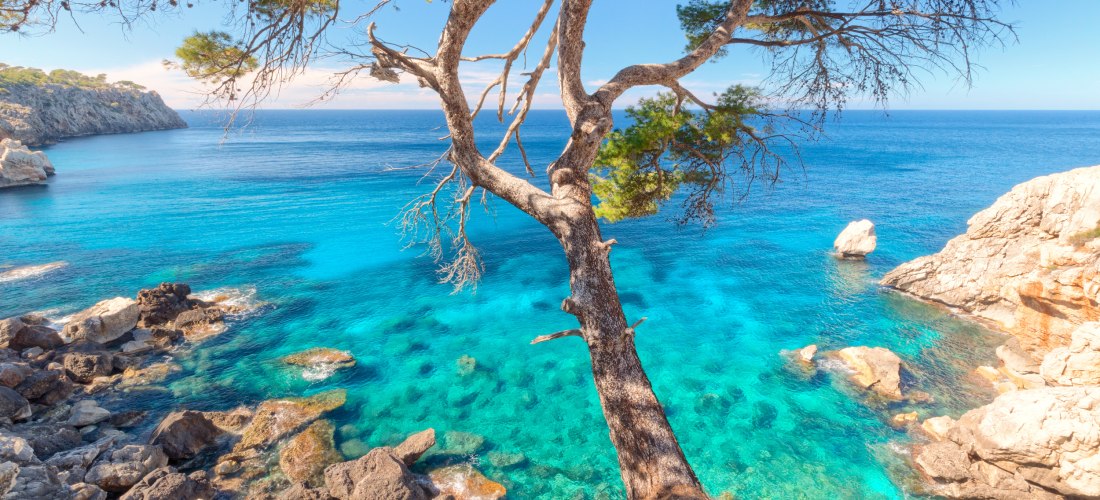 Malerische Küste bei Deià auf Mallorca mit türkisblauem Wasser, Felsen und einem Pinienbaum im Vordergrund