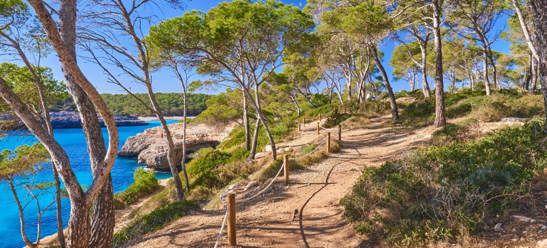 Wanderweg durch einen Pinienwald mit Blick auf die Küste im Naturpark Mondragó auf Mallorca