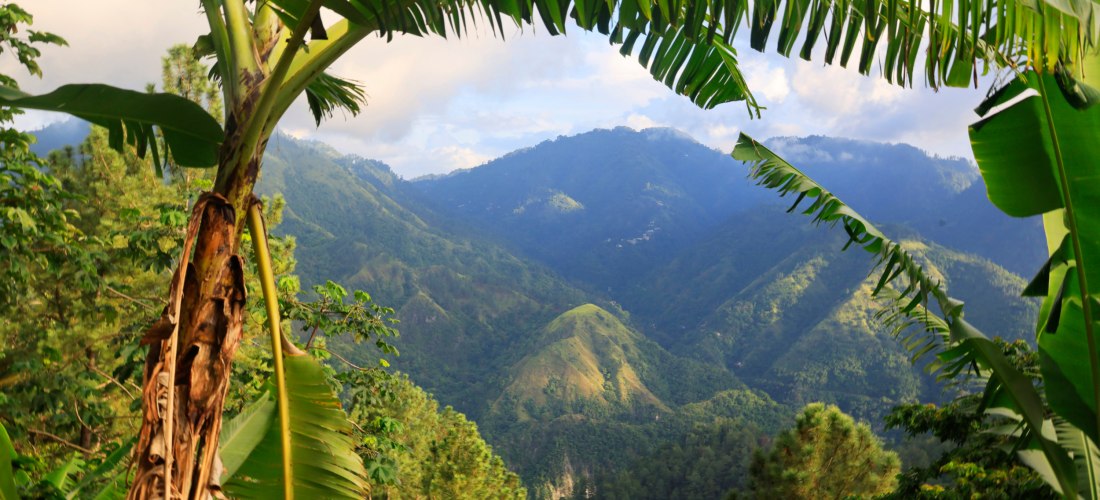Üppig bewachsene grüne Berge mit dichtem tropischen Regenwald in Jamaika, eingerahmt von großen Bananenblättern im Vordergrund. Die Landschaft zeigt ein beeindruckendes Panorama mit Hügeln und Tälern unter einem teilweise bewölkten Himmel – ein ruhiger, n