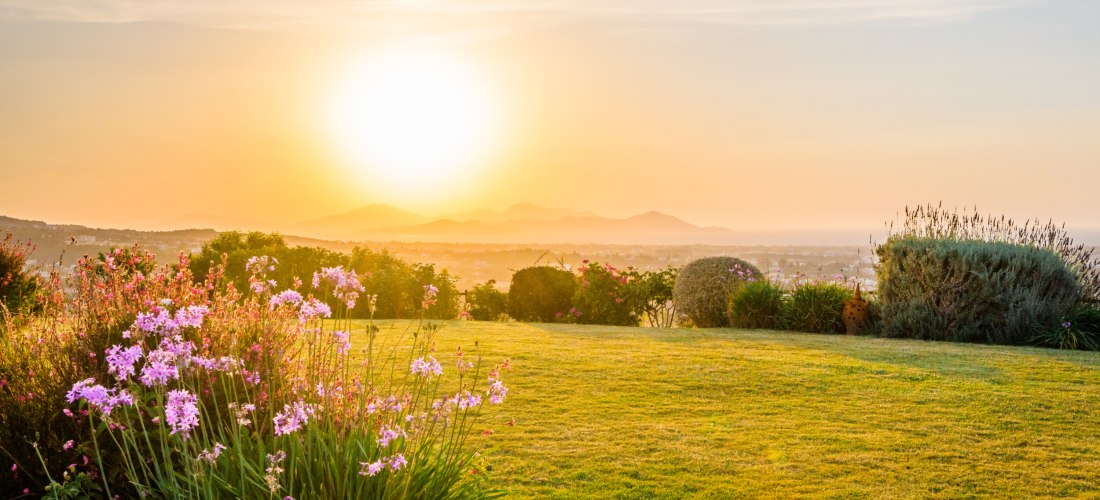 Blühender Garten mit grüner Rasenfläche bei Sonnenuntergang, im Hintergrund eine weite Landschaft mit Bergen und Stadt im goldenen Licht.