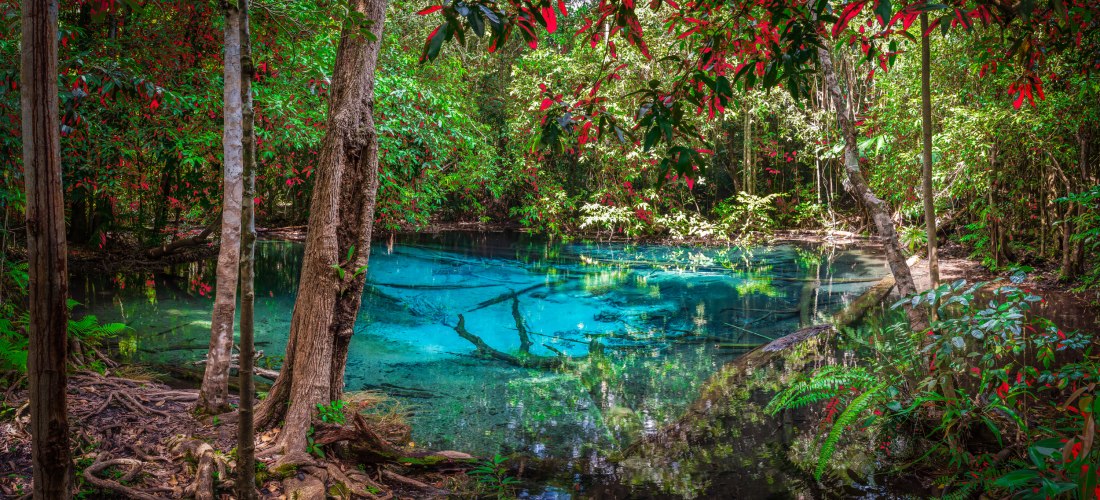 Blue Pool in Krabi, Thailand: tiefblauer Naturpool inmitten dichter tropischer Vegetation.